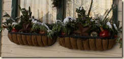First Snow window boxes 09