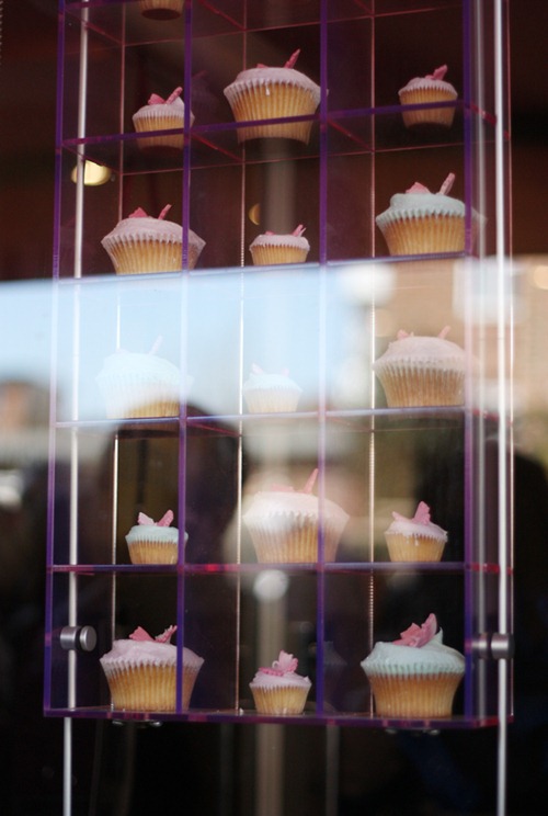 humming_bird_cupcakes