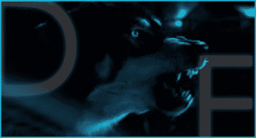 wolf.gif