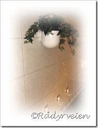 Img_4297A Img_4297A