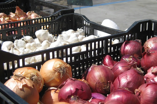 Onions from Schaner Family Farms
