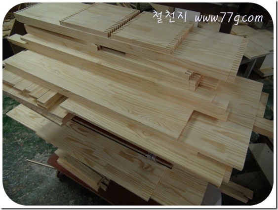 철천지DSC05139-20101116_thumb
