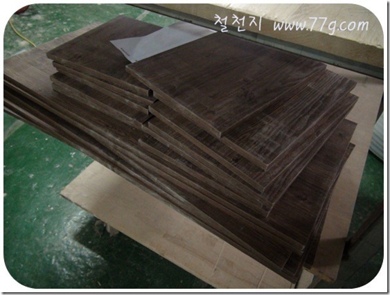 철천지DSC05144-20101116_thumb