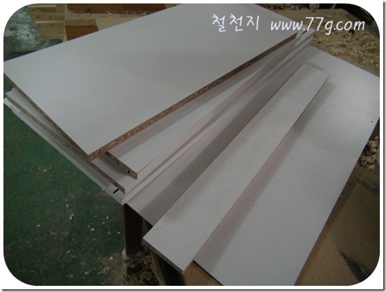 철천지DSC05171-20101117