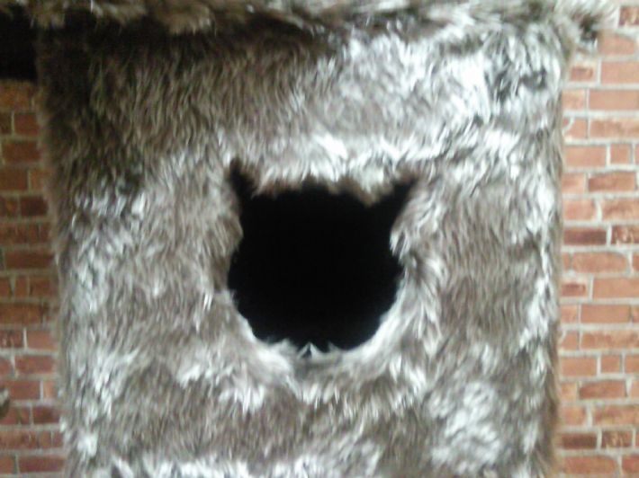 [esq291x02s8k6gkvoz1b[3].jpg]