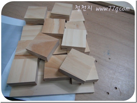 철천지DSC06015-20101221