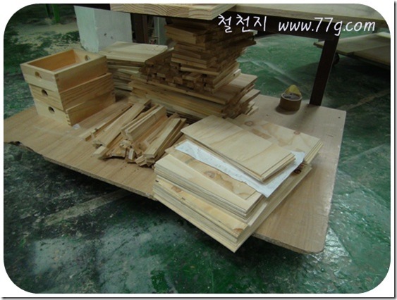 철천지DSC06022-20101221