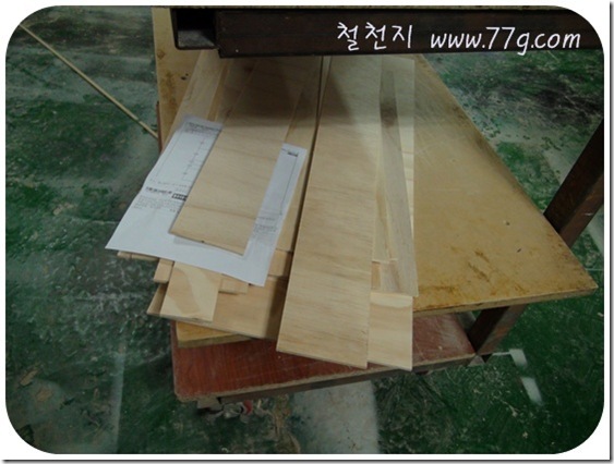 철천지DSC06303-20110103