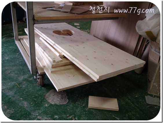 DIY1027DSC06502-20110120
