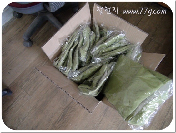 철천지DSC08449-20110502