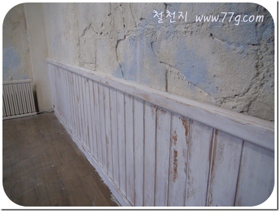철천지DSC08241-20110425