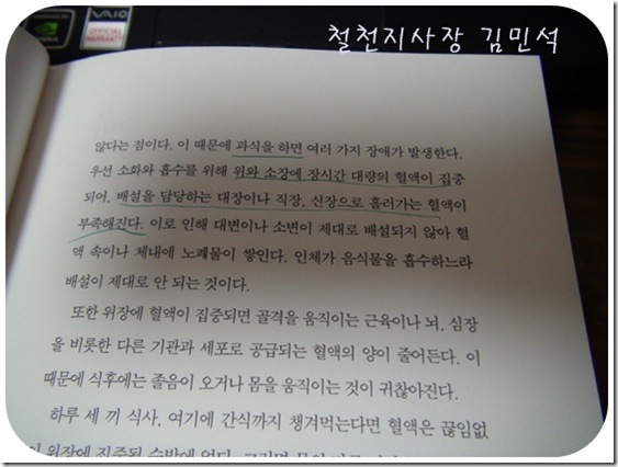 철천지DSC08270-20110426