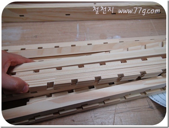철천지DSC08713-20110512-152947