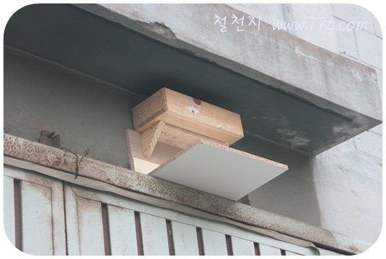 [  ÀIMG_9991-20110521-104539[3].jpg]