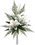 SD%20DTH%20FLOWERS%202.png