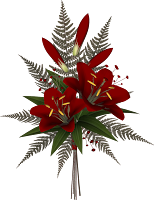 SD%20DTH%20FLOWERS%201.png