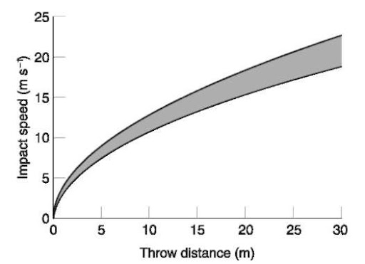 Determination of Cause Overview