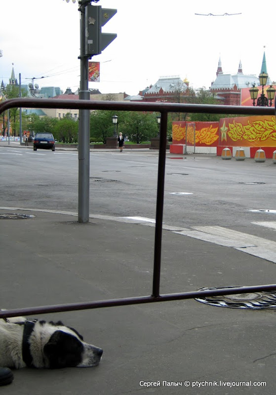 Каким был День Победы пять лет назад 