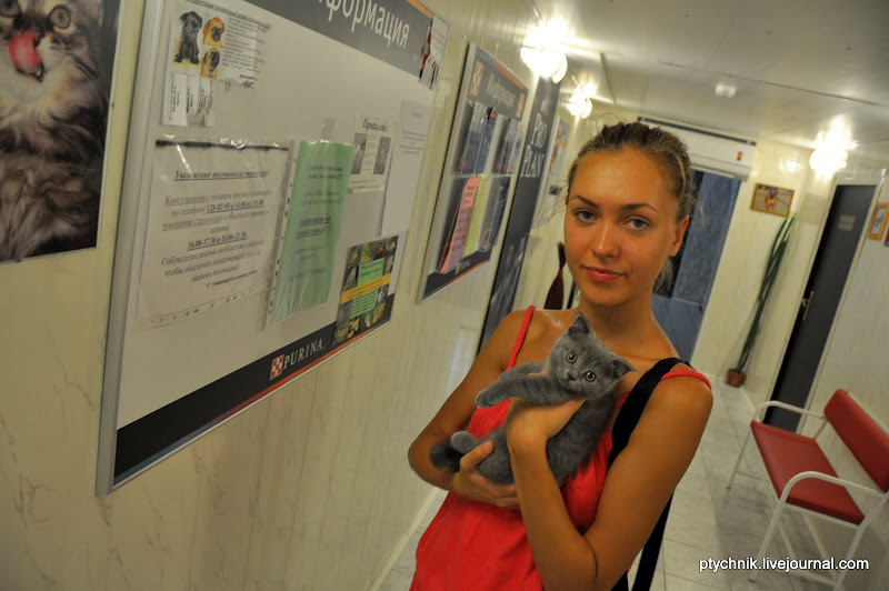 ЗОСЯ ПОЗНАЕТ МИР (ВЕТКЛИНИКА) 