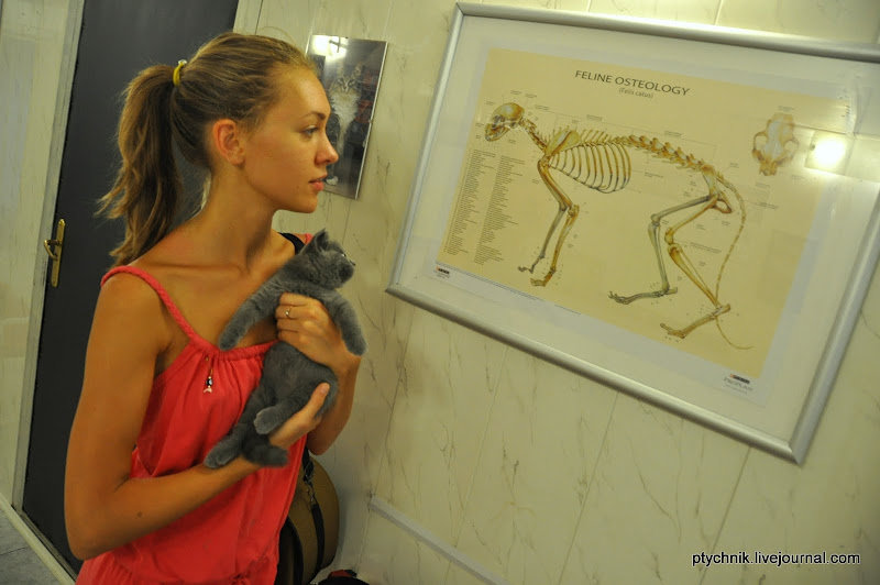 ЗОСЯ ПОЗНАЕТ МИР (ВЕТКЛИНИКА) 