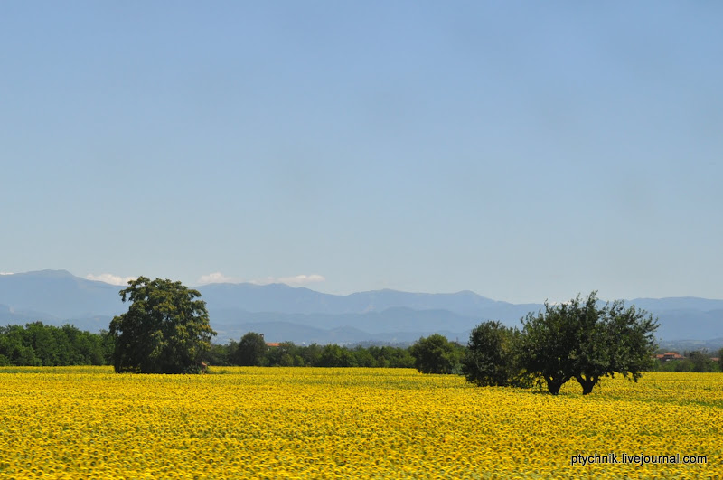 ПО ДОРОГАМ ЛОМБАРДИИ-ЛИГУРИИ 
