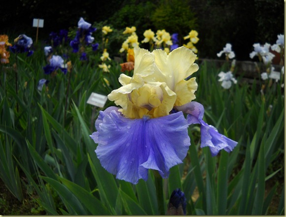 DSCN1845 DSCN1845