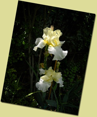 DSCN1625 DSCN1625
