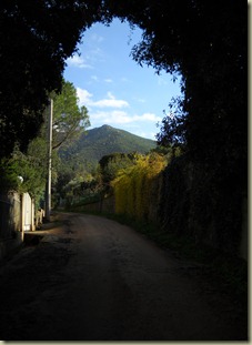 DSCN6929 DSCN6929