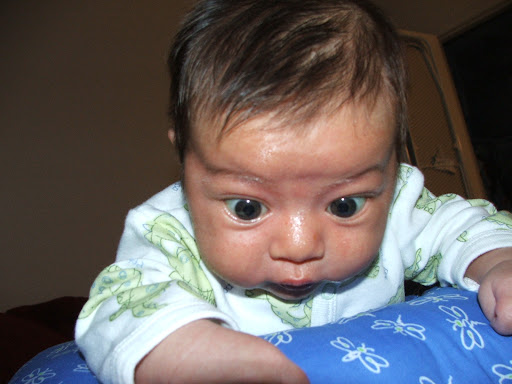 DSCF7567.JPG