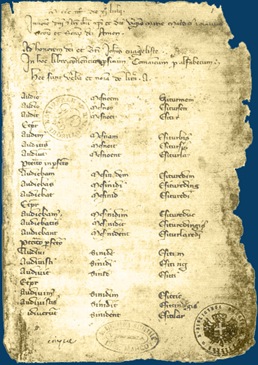 Codex_Cumanicus_001