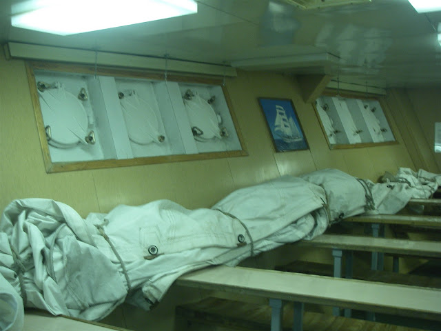 Какая она, Паллада? 