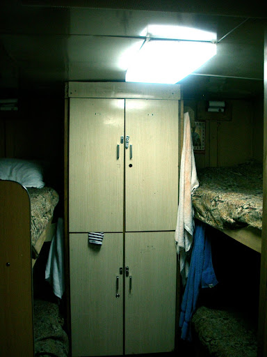 Какая она, Паллада? 