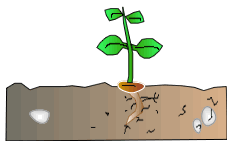 [image15[1].png]