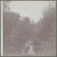 Portret van een vrouw bij een palmboom, Verenigde Staten