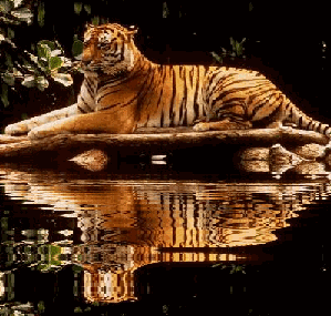 FL72526.png