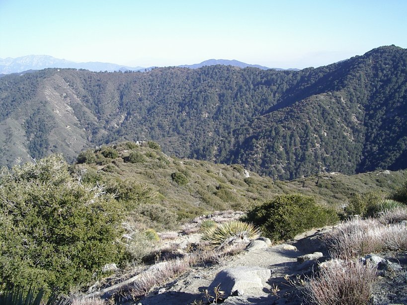 trail very much along the ridge