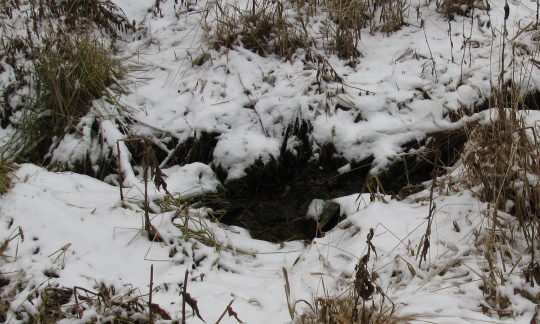 A trickle of water still flows, breaking a hole in the snow.