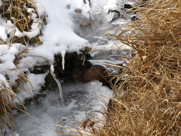 Some ice structures with water underneath.