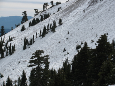 Animal paths marked out in snow on the mountain side.