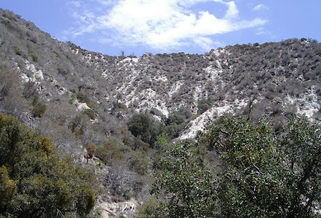 The slopes along the canyon.