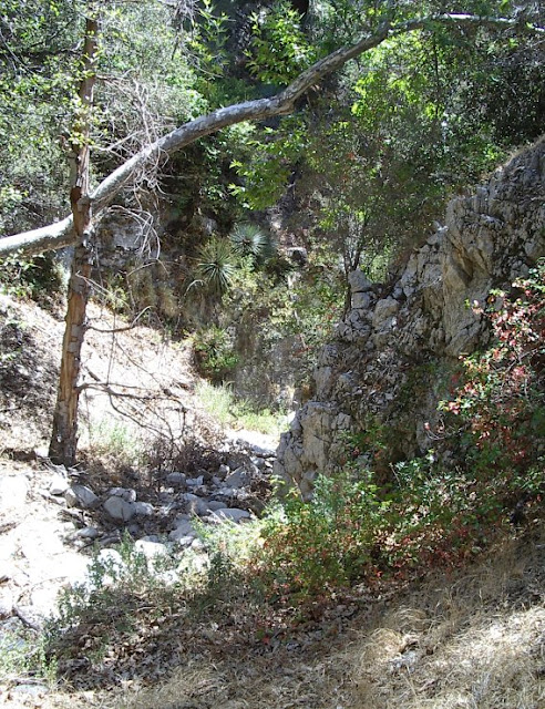 Narrow part of the dry canyon decorated with fall colored poison oak.
