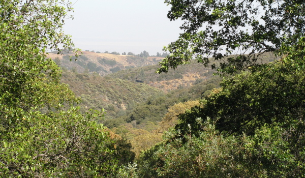 View of some hills to the north.