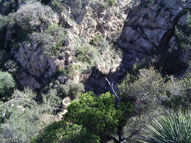 Two canyons joining with much shrubbery at the bottom of each.