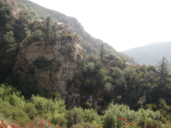 a clifflike wall of the canyon