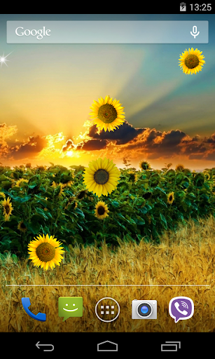 Sunflower Live Wallpaper