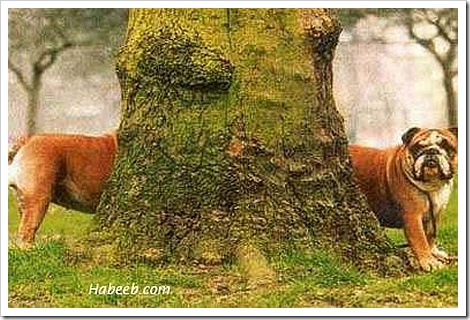 funny tv commercials. used in TV commercials and