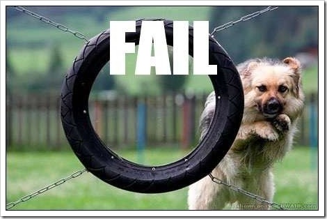 funny basketball quotes. Dog+funny+quotes