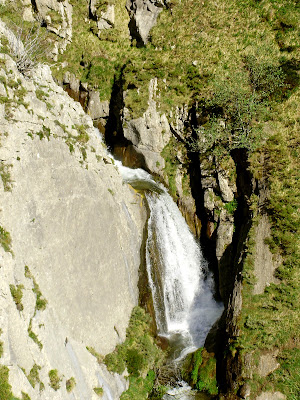 Brañas de Saliencia