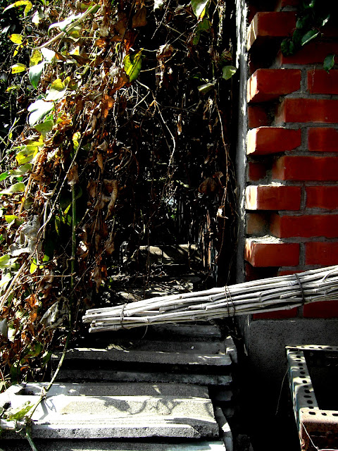 PICT3153.JPG
