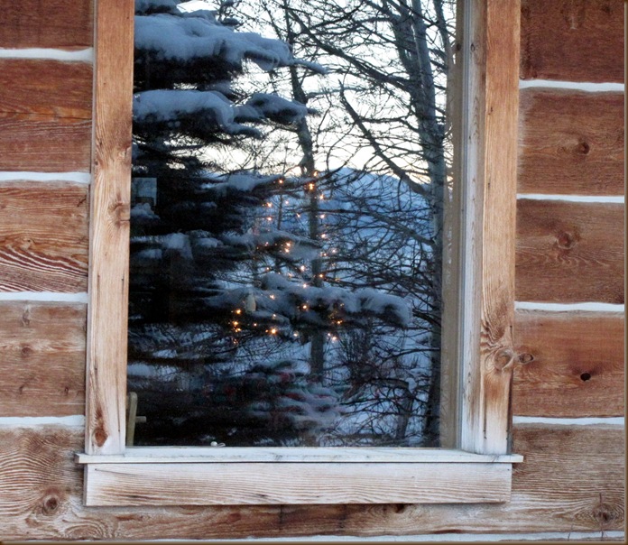 Christmas Tree thru window